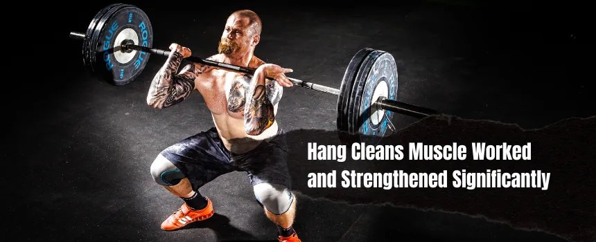 Hang Cleans Muscle Worked and Strengthened Significantly